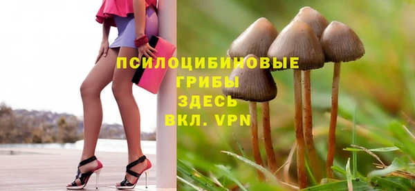 ALPHA PVP Нязепетровск