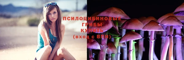 тгк Алексеевка