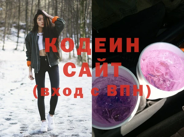 Альфа ПВП Няндома