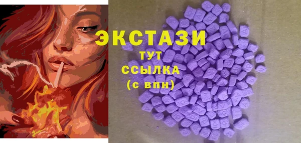 Альфа ПВП Няндома