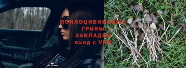 МДПВ Нягань