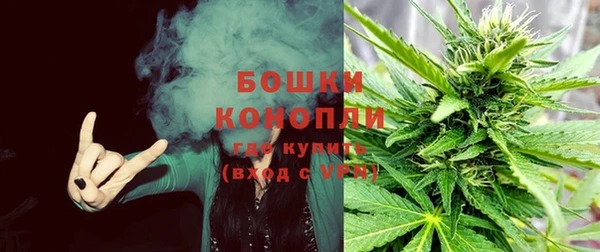 МДПВ Нягань