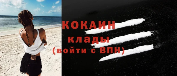 Альфа ПВП Няндома