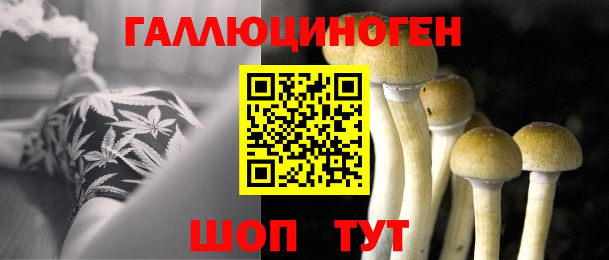 Галлюциногенные грибы Psilocybe  Вход с VPN  Новокузнецк  Псилоцибиновые грибы мухоморы 